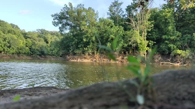 Lazy day on the river