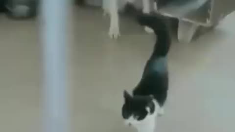 😄
