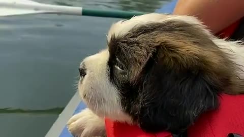 Just a floating potato 🥔