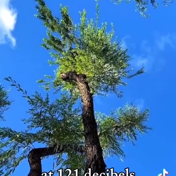 Interesting Facts part 1