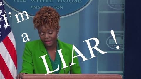 Nigerian Lesbian Lying Press Secretary