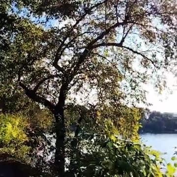 Jamaica Pond. Brookline, Massachusetts