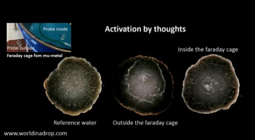 Water has memory II - Prof. Bernd Kroeplin Water research Germany