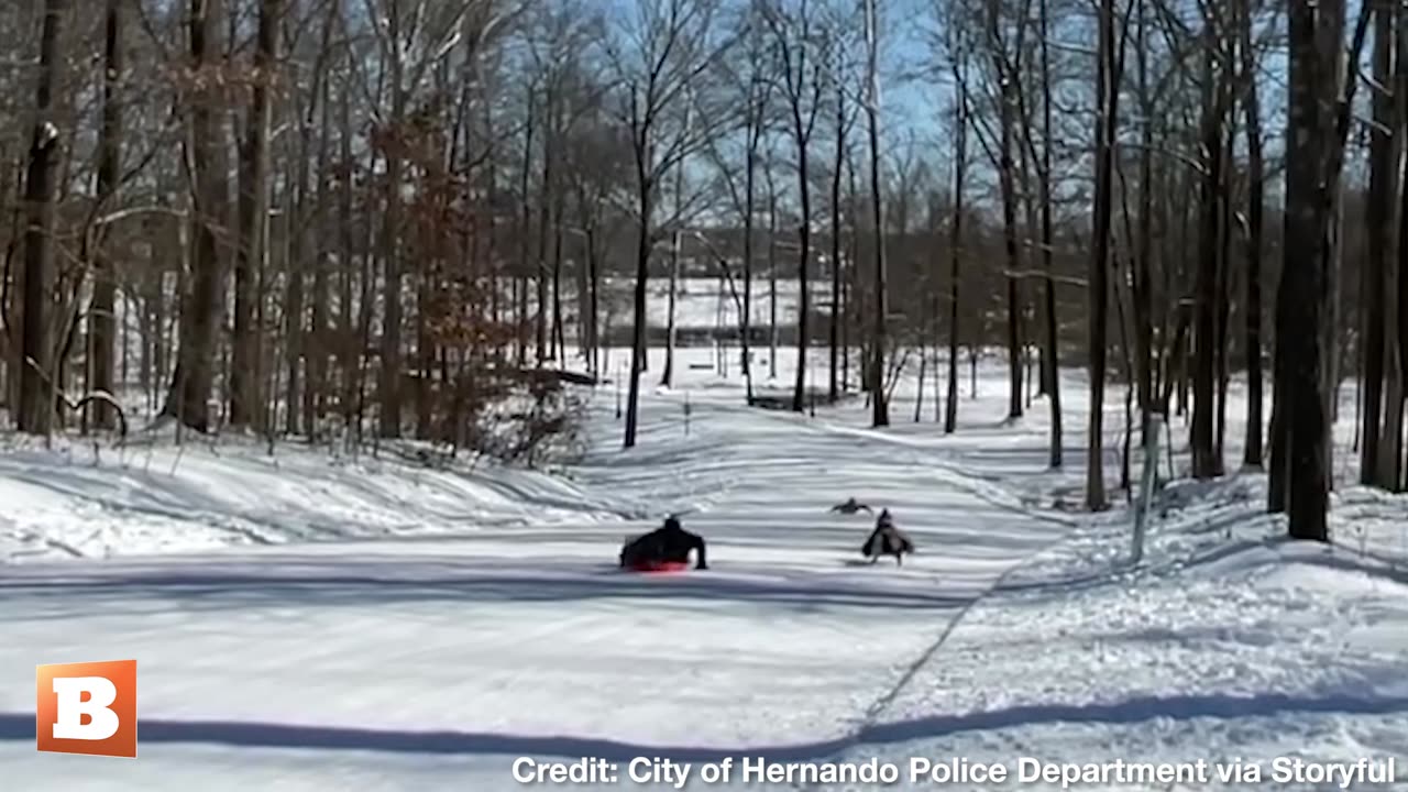 Hot Pursuit! Police Officer Takes on Kids in Sledding Race