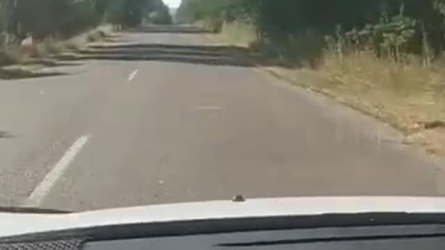 so i'm traveling to new life