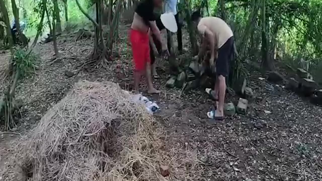 Python Crossing the pathway.