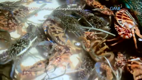 Kapuso Mo, Jessica Soho Ang 247 seafood craze sa 'Seafood Capital of the Philippines'