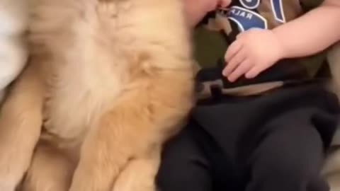 Funny animal videos 🤣