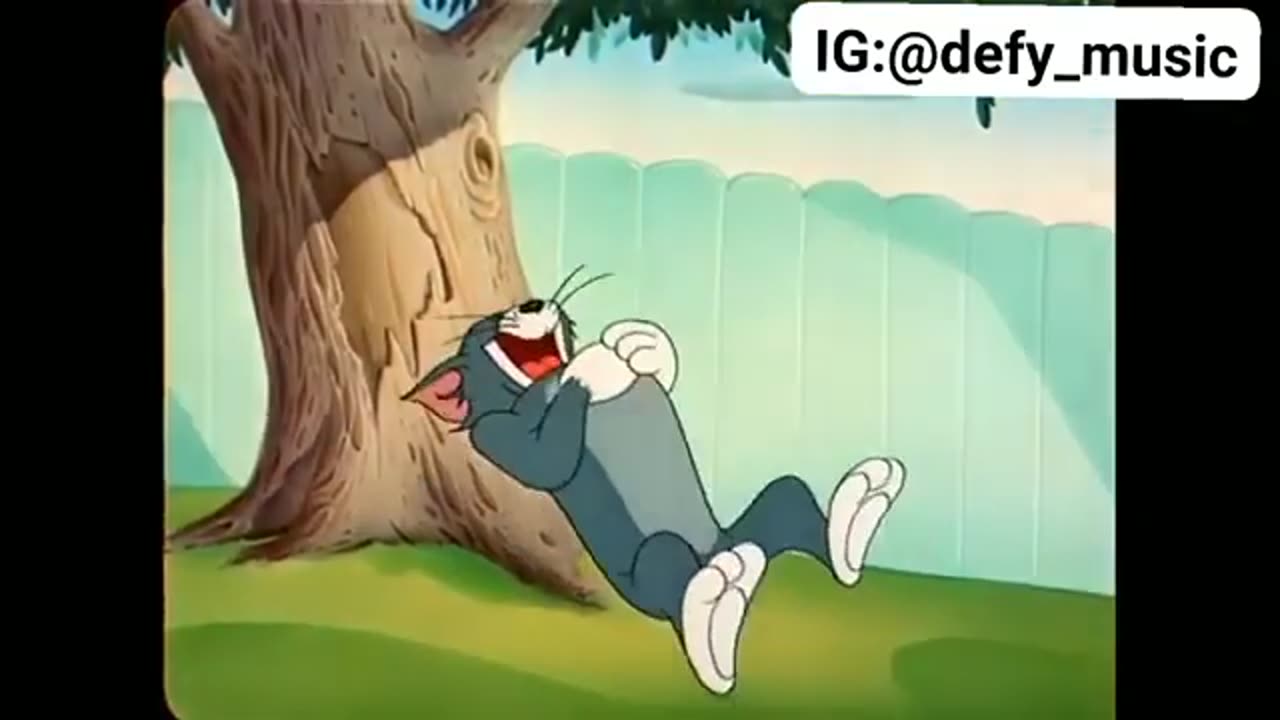 Tom & jerry funny video