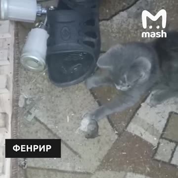 Snatch victory from the jaws of defeat 😊😊