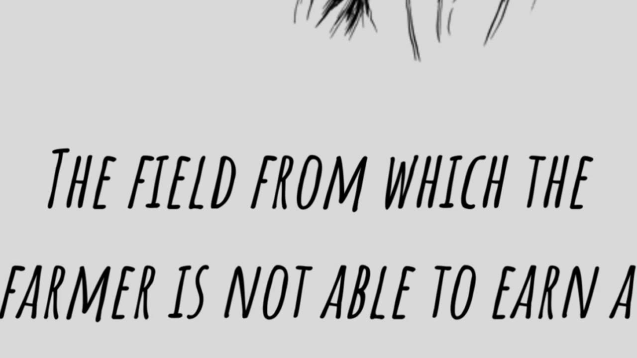 The Field From Which The Farmer Is Not Able To Earn A Living Burn Every Ear Of Wheat In This Field.