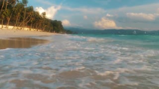 calming beach with plam trees