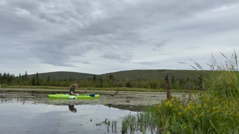 How NASA Decodes the Secrets of the Arctic