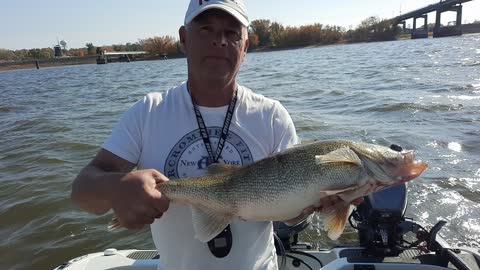 Fat Mississippi River Fall 2022 Walleye