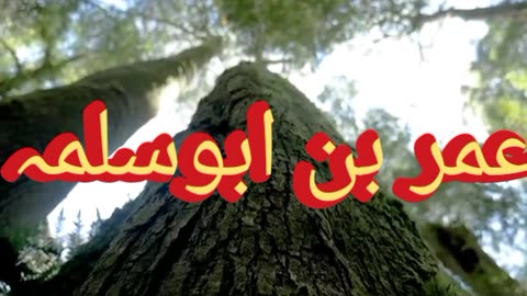 Umar bi abusalma #shors