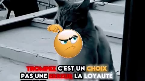 Que pensez-vous???