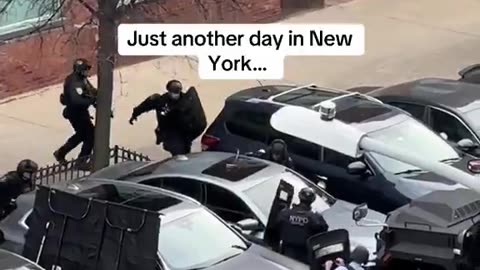 Just another day in NYC.