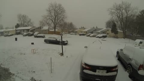 Winter Storm Jonas Time Lapse - Centreville, VA