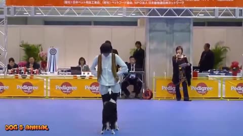 A Smart Dogg Dancing so cute