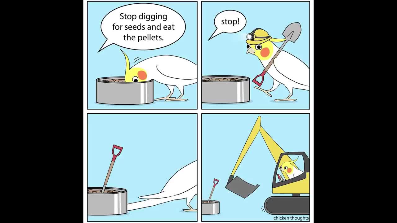 Funny Comics With A Parrot Twist