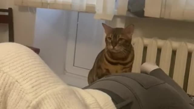 He's into something