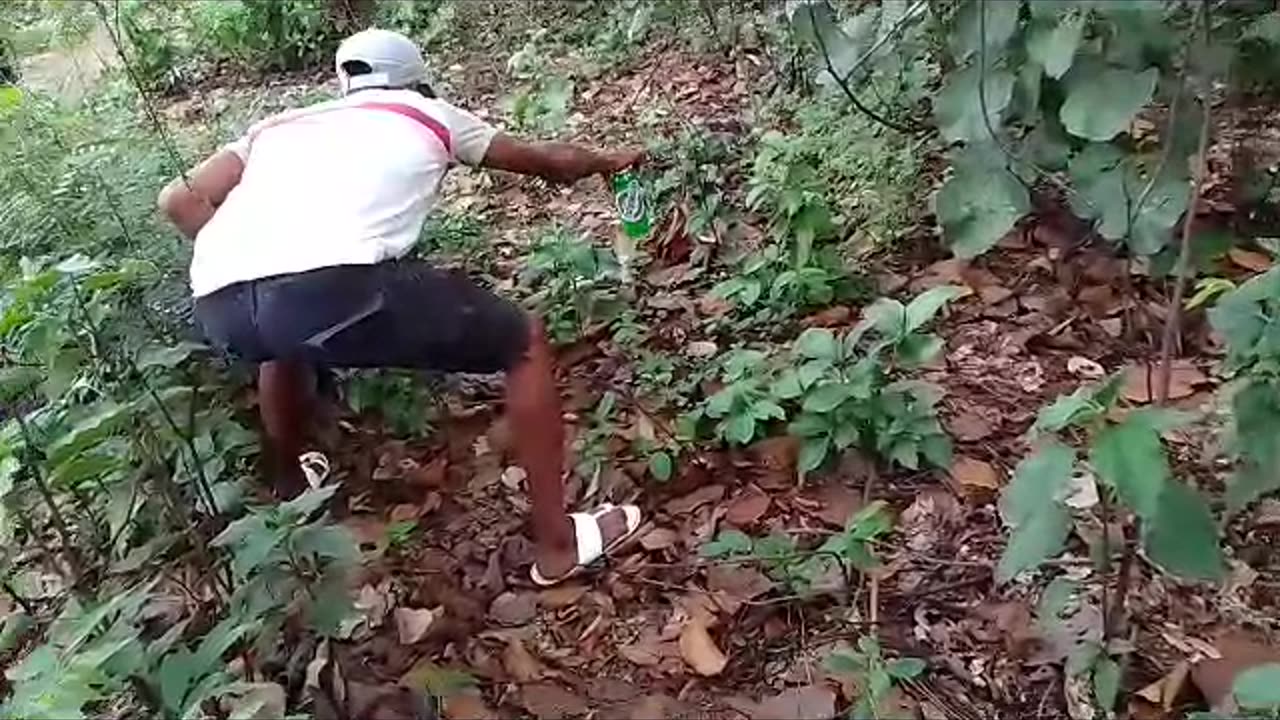 Snake training