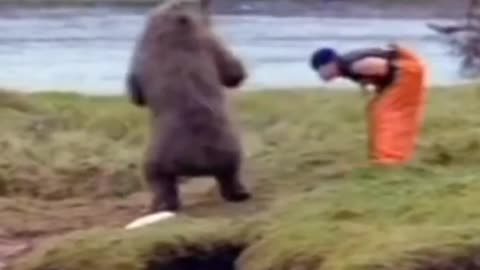 man fighting bear