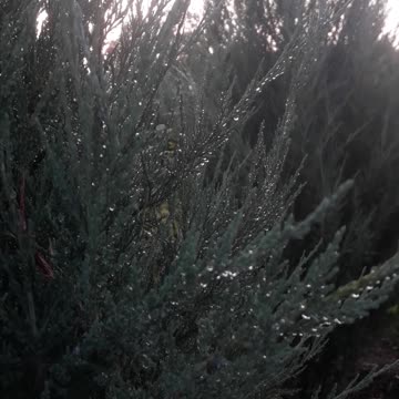 Skalnik drops and sunset