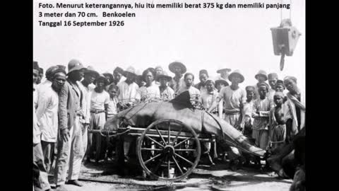 POTRET BENGKULU TEMPO DULU