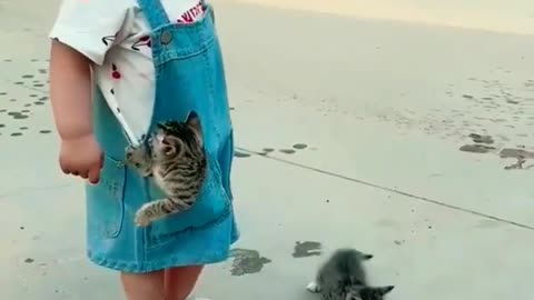 Cat and baby funny video 🤪😂