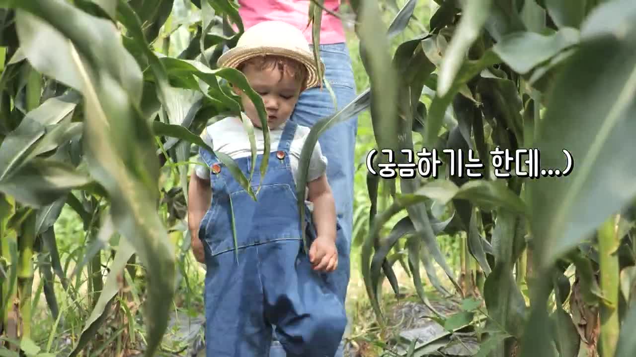 [슈돌유튜브🎁]슈퍼맨이 돌아왔다 442회 티저-빅보이젠네[The Return of Superman]