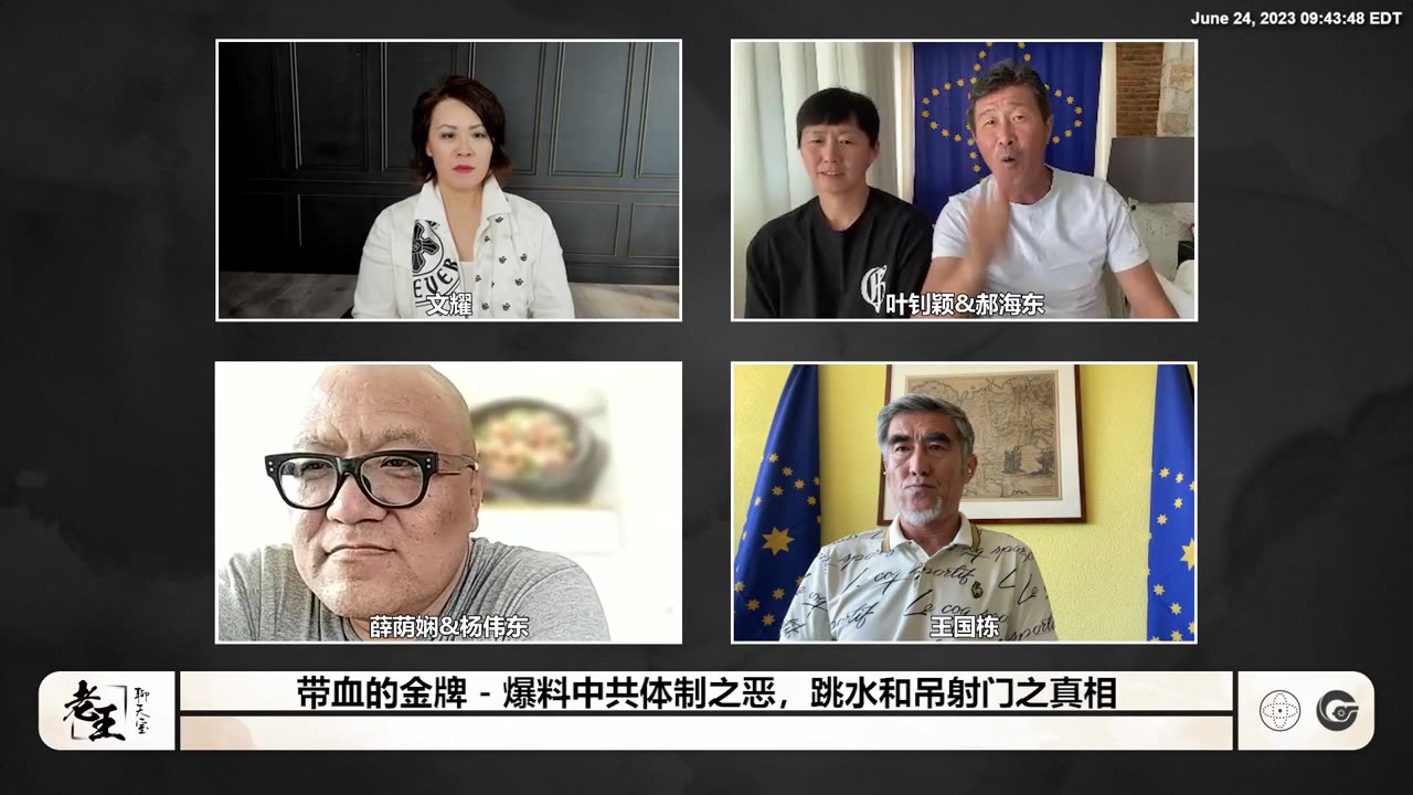 2023.06.24 带血的金牌（十）爆料中共体制之恶 跳水和吊射门之真相 014324 郝海东： 赌球的庄家就是黑社会（ #中共就是最大的黑社会）！公安部三局局长 #朱家骅 的儿子 #朱小亮 足球开庄