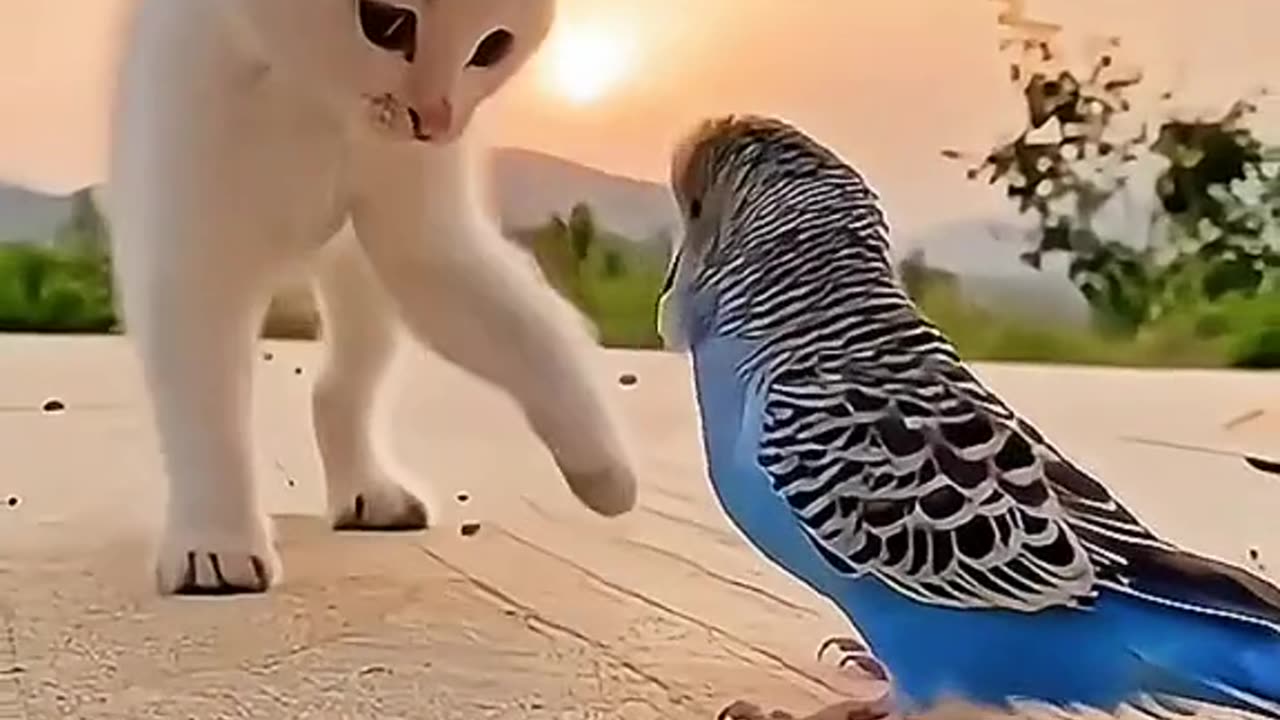 Kittens😻 enjoying with sweet parrot🦜