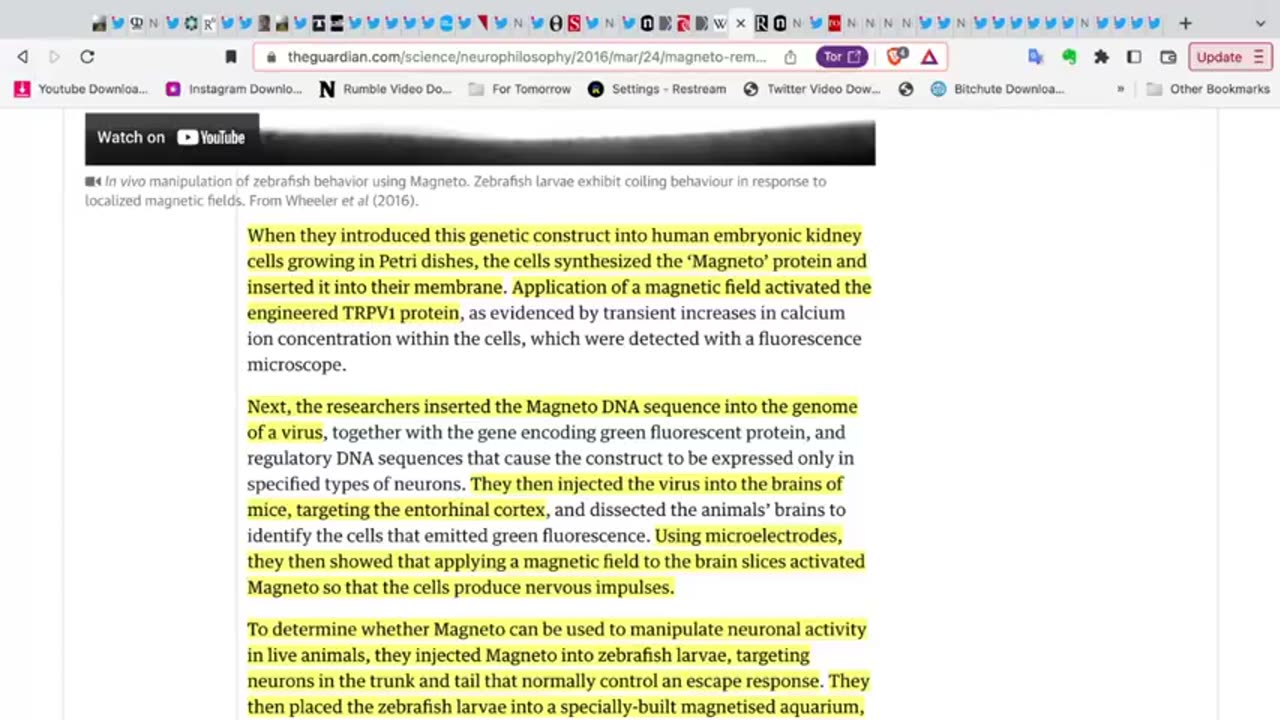 DNA CONTAMINATION IN COVID INJECTIONS, GENETIC BARCODES & THE ONGOING COVID ILLUSION COVERUP