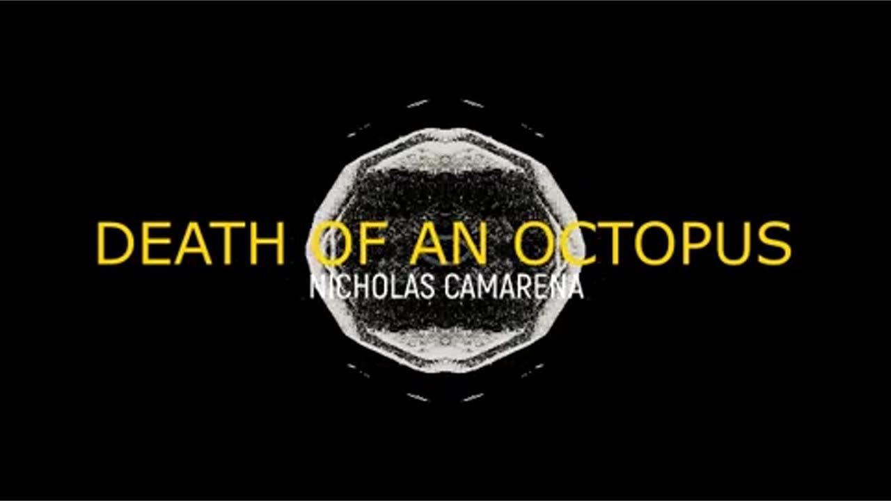 Music: "Death of an Octopus"