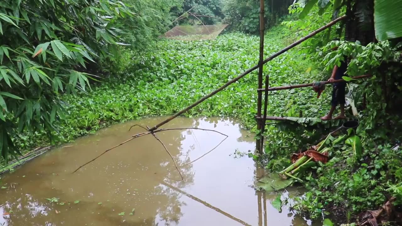 Fishing after rain