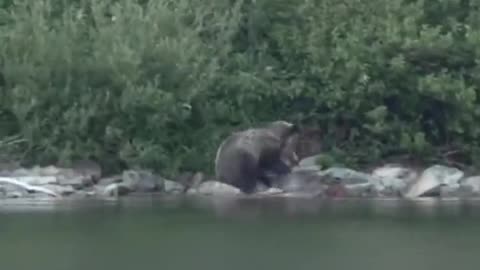 Unusual wedding footage.....