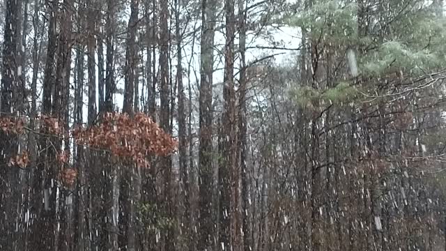 Snow in Mississippi