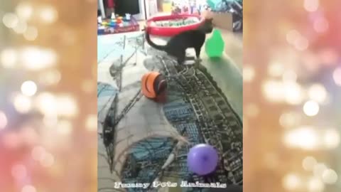 Funny Fails Compilation # 187