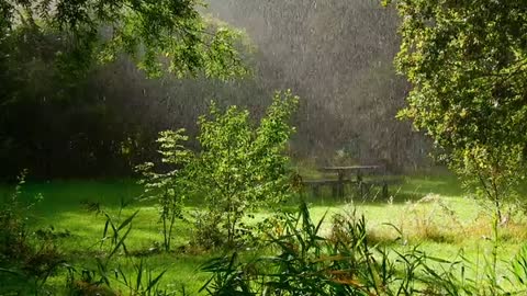 Rain Rainy Day Downpour Weather Wet Water Dro