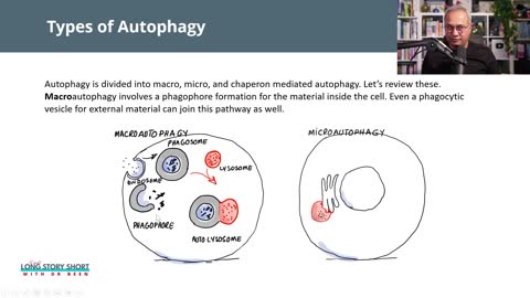 Long Story Short Episode 32: Types of Protein Recycling and Inflammatory Diseases