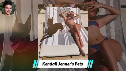 Kylie Jenner vs Kendall Jenner animals pet