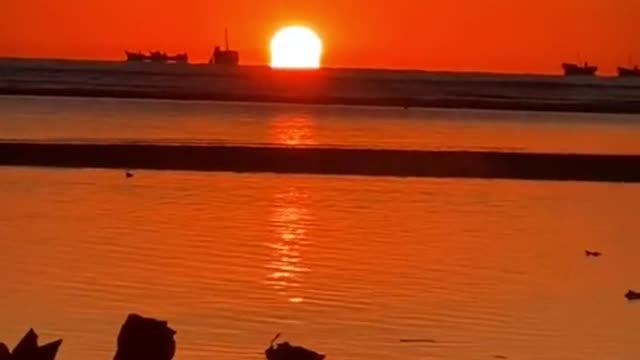 What do you see, sunset, tide, or my rose#scenery#fyp#landscape