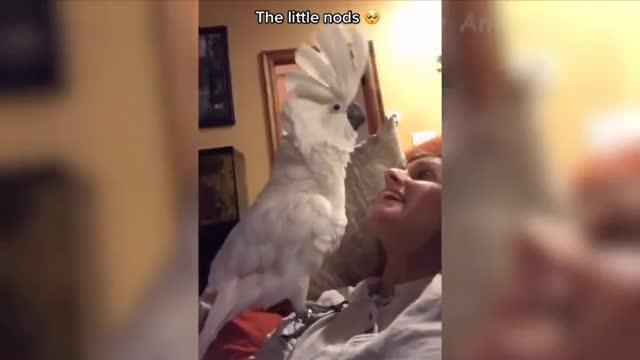 Cutest parrot!