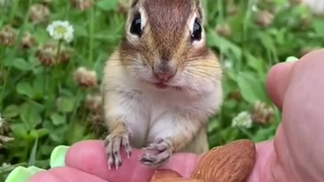 OMG so cute cats and dog funny video 2021 | Best funny cats compilation #ss #shortππππβ€οΈπππΈπΈ