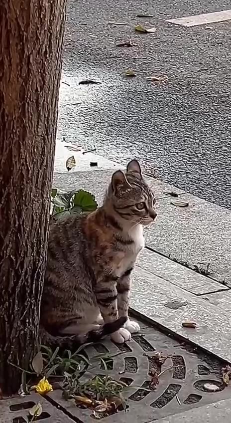 There goes my last functioning nerve 😂