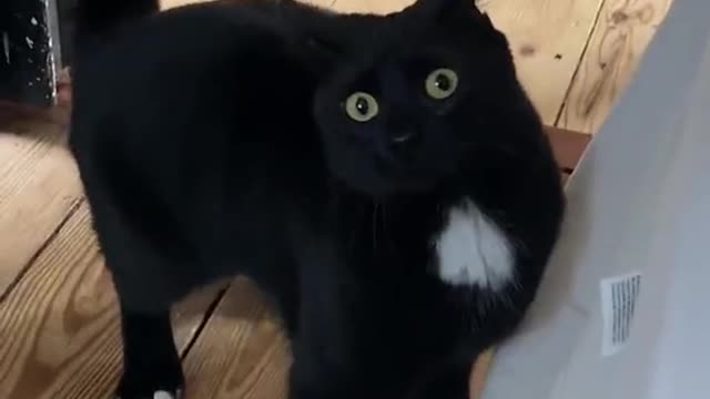 😭😭😭😭😭