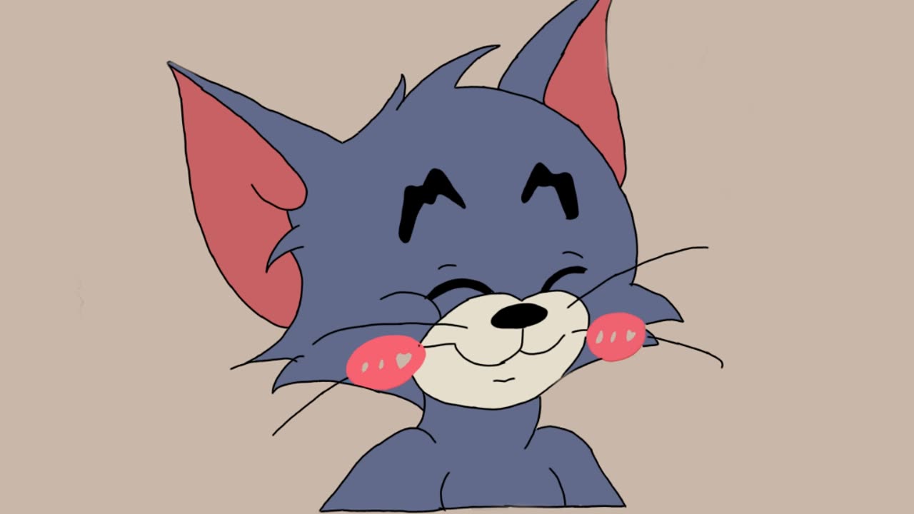 Tom and Jerry Cartoon Tom's character