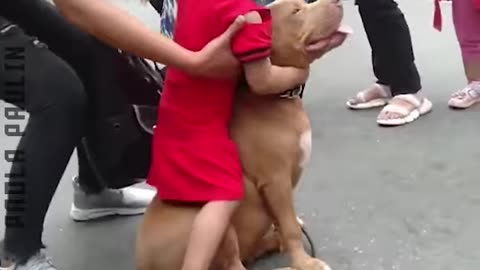 Kids & Animals Love.