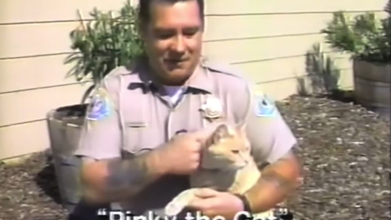 This video never gets old even after 25 years